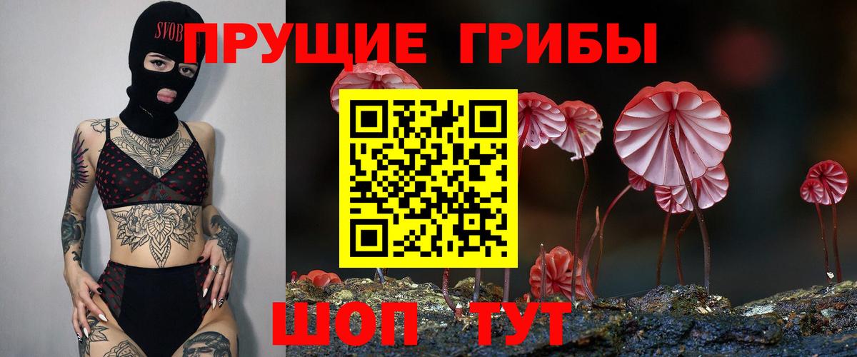 Анжеро-Судженск  Галлюциногенные грибы мицелий  как найти наркотики  Вход с VPN 